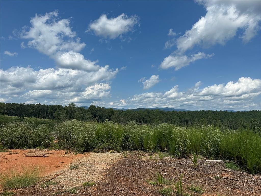 Image 2 of property listing at 0 Larmon Forks Road, Dahlonega, GA 30533