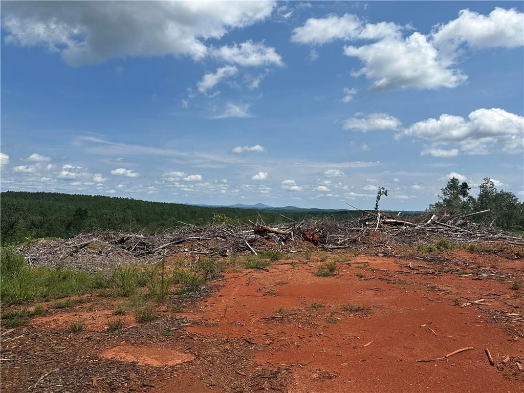 Image 4 of property listing at 0 Larmon Forks Road, Dahlonega, GA 30533