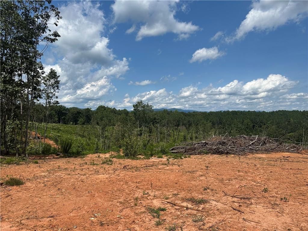 Image 6 of property listing at 0 Larmon Forks Road, Dahlonega, GA 30533