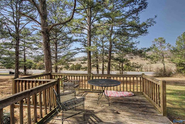 77300 Highway 231, Blountsville, AL 35031