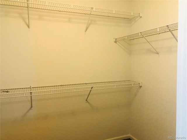 11788 Zenobia Loop, Westminster, CO 80031