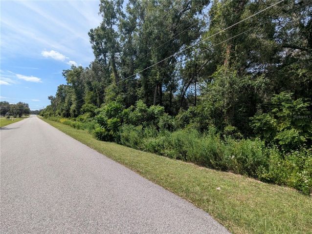 0 SE 99TH AVENUE, Summerfield, FL 34491
