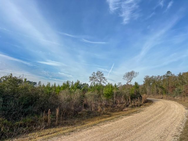 T-1 Tall Cotton Road, Saratoga, TX 77585