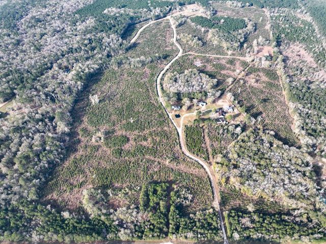 T-1 Tall Cotton Road, Saratoga, TX 77585