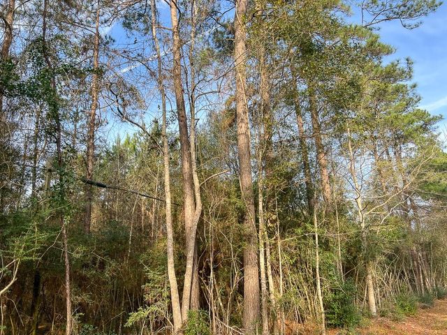 T-1 Tall Cotton Road, Saratoga, TX 77585