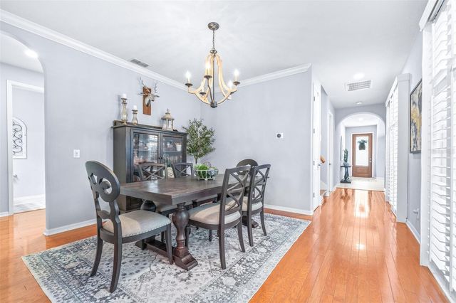20302 CHESTNUT GROVE DRIVE, Tampa, FL 33647