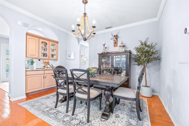 20302 CHESTNUT GROVE DRIVE, Tampa, FL 33647