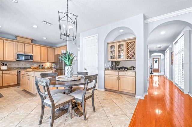 20302 CHESTNUT GROVE DRIVE, Tampa, FL 33647