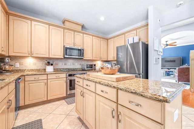 20302 CHESTNUT GROVE DRIVE, Tampa, FL 33647