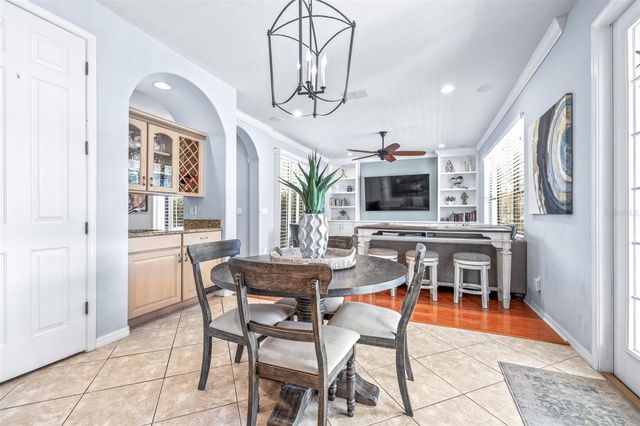 20302 CHESTNUT GROVE DRIVE, Tampa, FL 33647