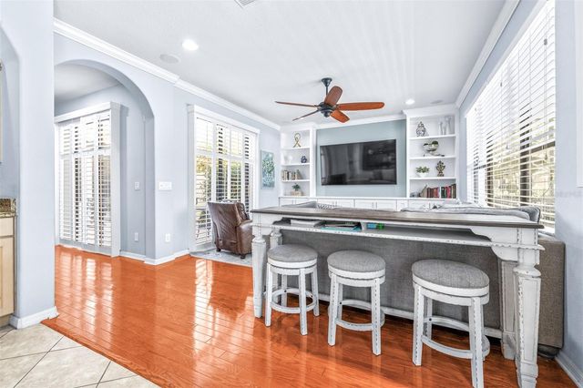 20302 CHESTNUT GROVE DRIVE, Tampa, FL 33647