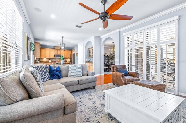 20302 CHESTNUT GROVE DRIVE, Tampa, FL 33647