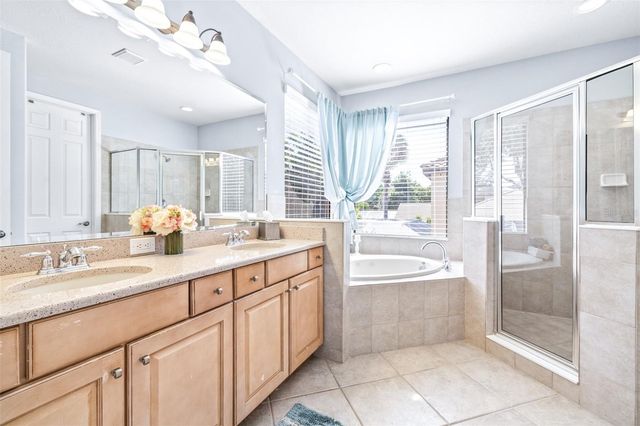20302 CHESTNUT GROVE DRIVE, Tampa, FL 33647