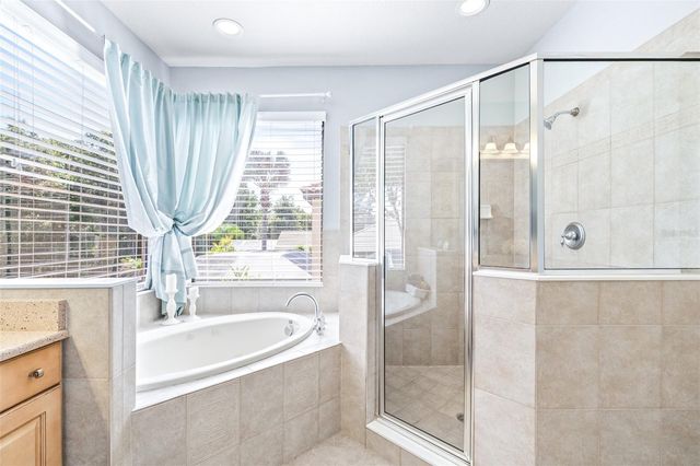 20302 CHESTNUT GROVE DRIVE, Tampa, FL 33647
