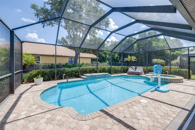 20302 CHESTNUT GROVE DRIVE, Tampa, FL 33647