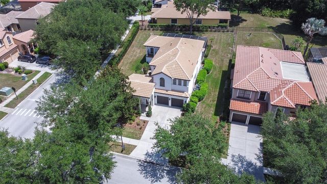 20302 CHESTNUT GROVE DRIVE, Tampa, FL 33647
