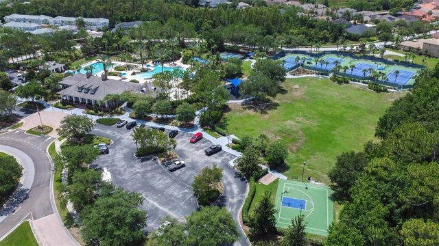 20302 CHESTNUT GROVE DRIVE, Tampa, FL 33647