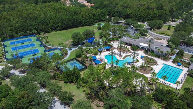 20302 CHESTNUT GROVE DRIVE, Tampa, FL 33647