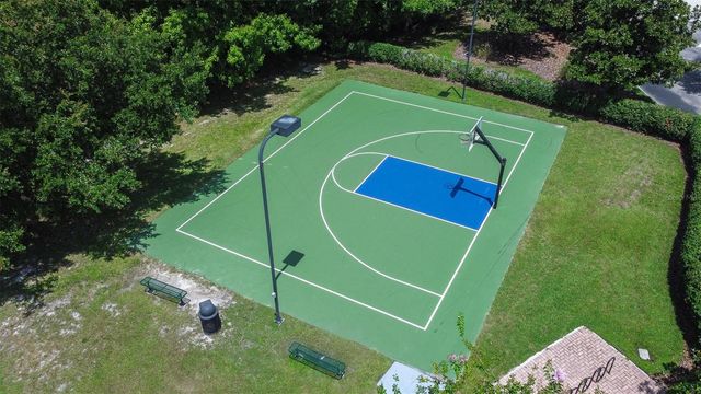 20302 CHESTNUT GROVE DRIVE, Tampa, FL 33647
