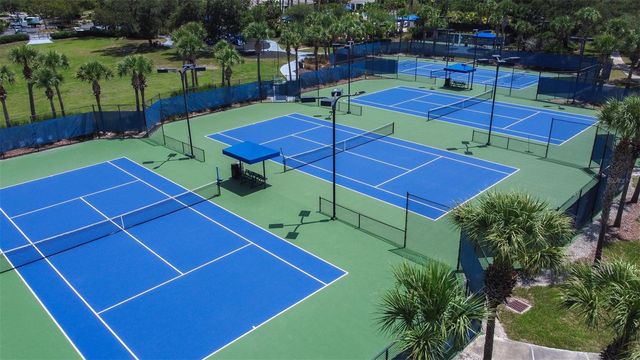 20302 CHESTNUT GROVE DRIVE, Tampa, FL 33647