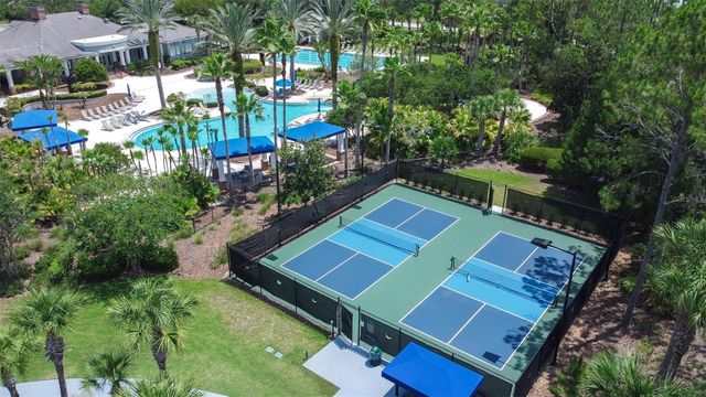 20302 CHESTNUT GROVE DRIVE, Tampa, FL 33647