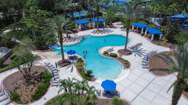 20302 CHESTNUT GROVE DRIVE, Tampa, FL 33647