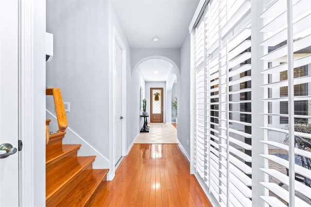 20302 CHESTNUT GROVE DRIVE, Tampa, FL 33647