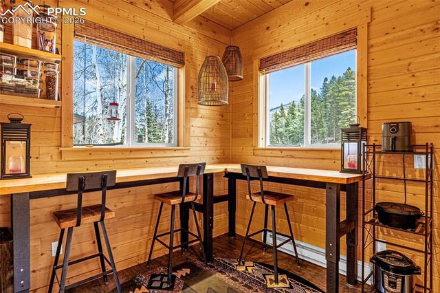 325 Willow Road, Divide, CO 80814