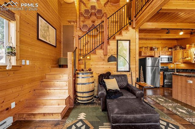 325 Willow Road, Divide, CO 80814