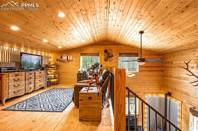 325 Willow Road, Divide, CO 80814