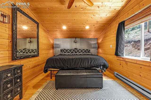 325 Willow Road, Divide, CO 80814