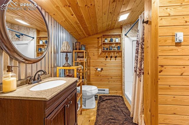 325 Willow Road, Divide, CO 80814