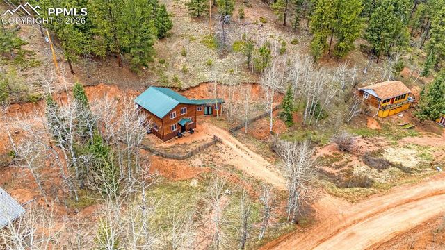 325 Willow Road, Divide, CO 80814