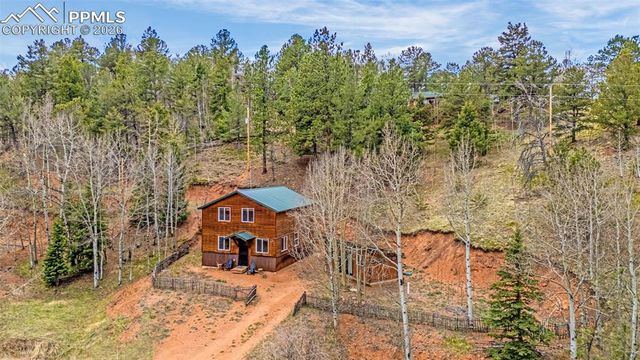 325 Willow Road, Divide, CO 80814