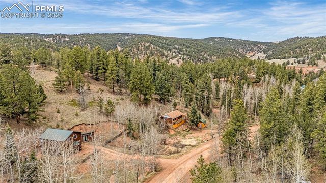 325 Willow Road, Divide, CO 80814