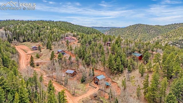 325 Willow Road, Divide, CO 80814