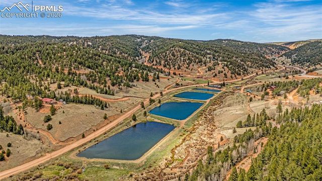 325 Willow Road, Divide, CO 80814