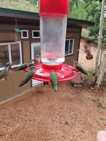 325 Willow Road, Divide, CO 80814