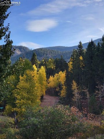 325 Willow Road, Divide, CO 80814