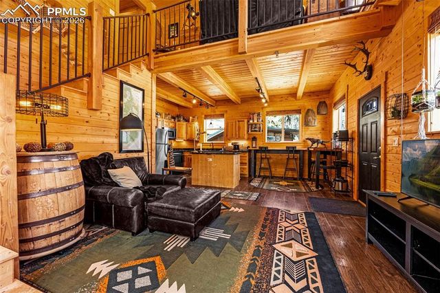 325 Willow Road, Divide, CO 80814