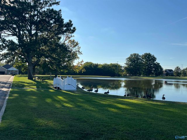 546 Blackshear Lane SW, Hartselle, AL 35640