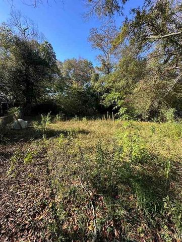 53 Lefevre Street, Mobile, AL 36607