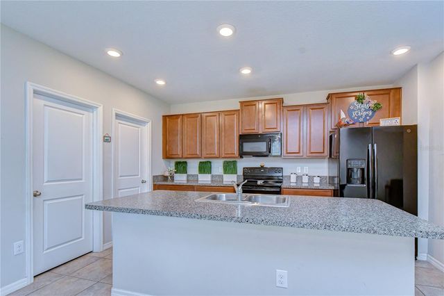 4321 GLOBE THISTLE DRIVE, Tampa, FL 33619