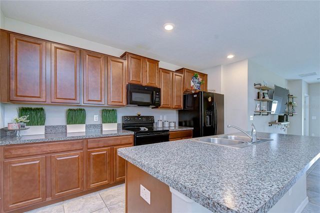 4321 GLOBE THISTLE DRIVE, Tampa, FL 33619