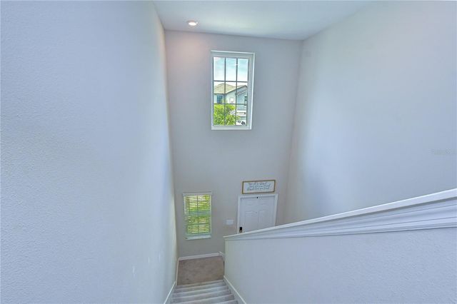 4321 GLOBE THISTLE DRIVE, Tampa, FL 33619