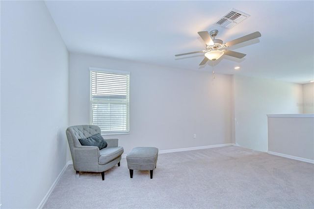 4321 GLOBE THISTLE DRIVE, Tampa, FL 33619