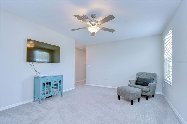 4321 GLOBE THISTLE DRIVE, Tampa, FL 33619