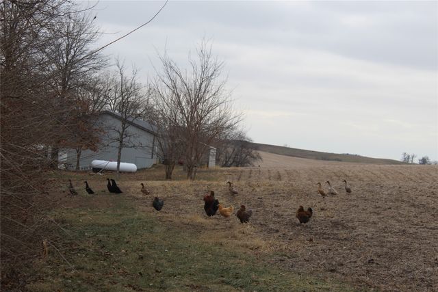 1834 Eaton Avenue, Leighton, IA 50143