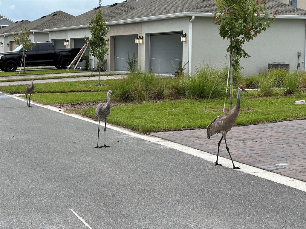 Image 6 of property listing at 3037 ELLA WAY, St Cloud, FL 34771