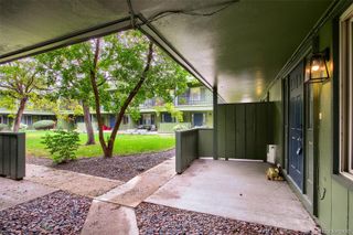 3791 Quail Street, Wheat Ridge, CO 80033